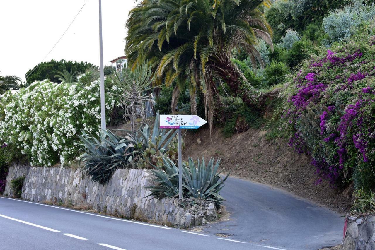 Agriturismo Un Mare Di Fiori Villa Ventimiglia Exterior foto